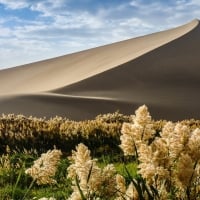 Sand Dune