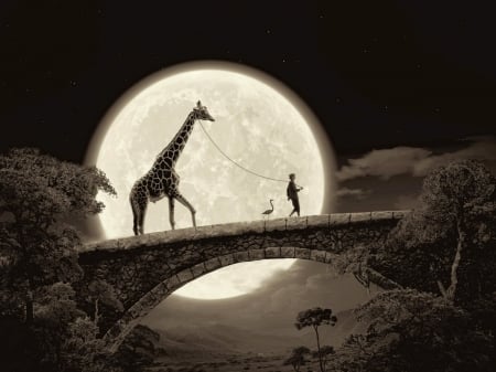 Moonlight - moon, creative, man, dark, fantasy, thomas herbrich, giraffe, luminos, luna, bridge