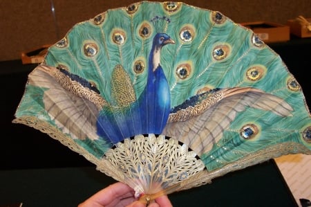 Hand fan - bird, hand fan, peacock, blue, pasare, fan