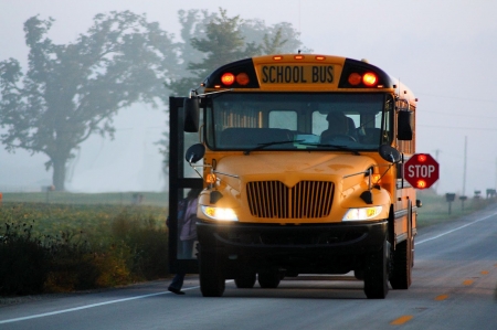 morning run - road, field, bus, school, grass