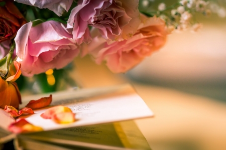 Roses - flowers, book, petals, rose