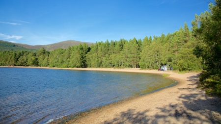 Loch Morlich - Scotland - loch morlich, scottish highlands, scenery, scottish lochs, scotland