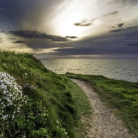 Path Along the Sea in the Evening