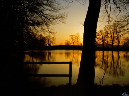 Romantic Evening at the Lake - trees, sunset, nature, evening, bench, lake