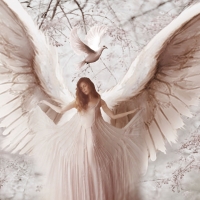 Pink Angel