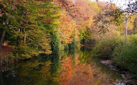 autumn trees - leaf, tree, autumn, river