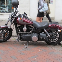 Harley