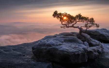 Sunset in Switzerland - tree, nature, rocks, sunset