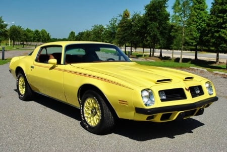 1975 Pontiac Firebird Formula - formula, firebird, car, muscle, old-timer, pontiac