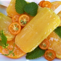 Citrus Lolly