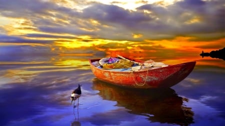 Sunset Horizon - nature, horizon, clouds, sunset, sea, boat, bird