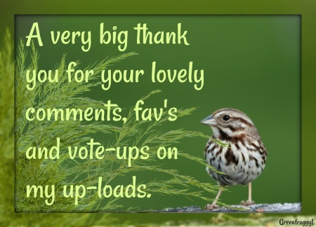 BIG THANK YOU - comment, card, you, thank