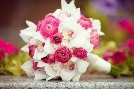 Bride bouquet - white, flower, ranunculus, pink, bouquet, orchid, bride