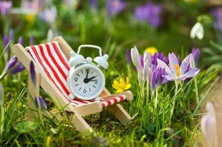 Spring time - purple, green, spring, clock, flower, crocus