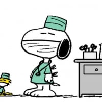 Snoopy and Woodstock 