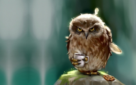 :-) - cookie, cup, owl, art, fantasy, pasare, coffee, bufnita, luminos