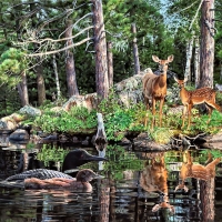 Loon Neighbors - Deer F