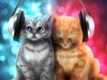 Head Phone Kittens