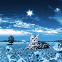 Blue Meadow Kitty