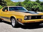 1973 Ford Mustang Mach 1