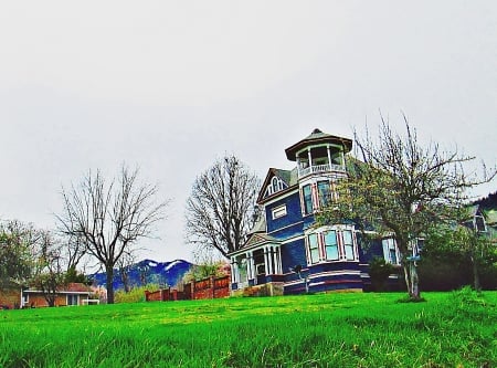 victorian blues - sky, house, grass, trees