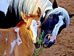 MOTHER AND FOAL