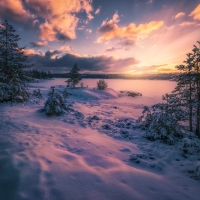 Sunrise over Winter Landscape