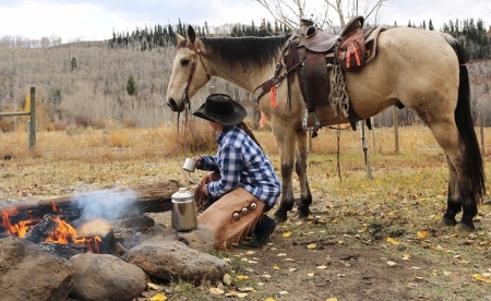 Cowgirl In The Fall - fall, horse, people, cowgirl