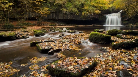 Autumn Forest Fall - stone, nature, autumn, trees, leaves, moss, waterfall, rocks