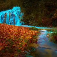 Small Waterfall in Forest