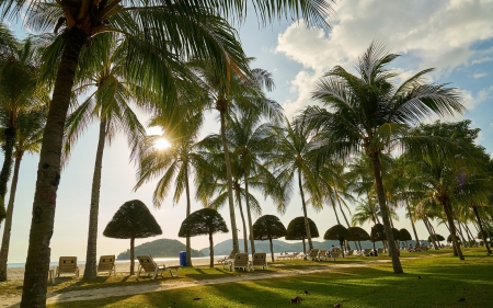 Beach in Malaysia - palms, ocean, beach, tourism