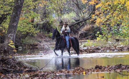 Cowgirl Autumn Day - Cowgirl, Animals, Autumn, Day, Horse