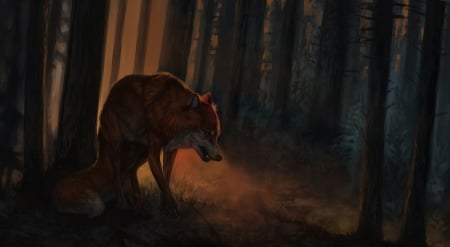 Fox - fantasy, fox, wolf, night, forest, dark, luminos