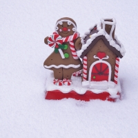 Gingerbread In The Snow