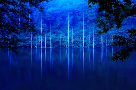 Calm blue lake - calm, trees, branches, blue, pond, beautiful, forest, reflection, morror, calmness, tranquility, serenity, lake