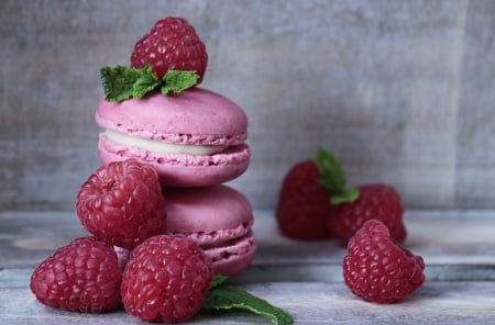 Macaroon and Raspberries - High Resolution, Macaroon, Food, Pink, 4K, Photography, Raspberry