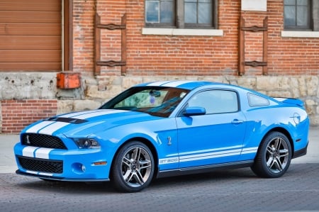 2010 Ford Mustang Shelby GT500 - gt500, car, muscle, mustang, ford, shelby