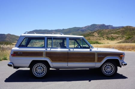 1989 Jeep Grand Wagoneer - wagoneer, old-timer, car, jeep, grand