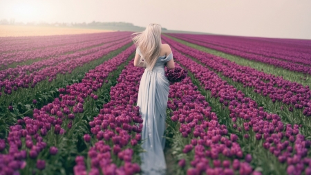 Lovely Day - flowers, field, woman, model