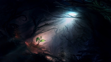 Dark,Forest - art, forest, enchanted, dark