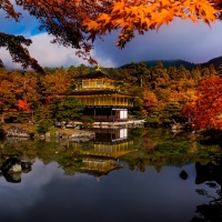 Autumn Park In Japan