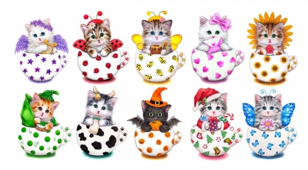 Kittens in cups - colorful, pisica, kitten, cute, cup, cat