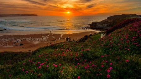 Beach Overlook - hill, beach, sea, hillside, ocean, sand, flowers, Firefox Persona theme, sunset, twilight, sky