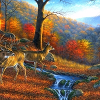 Autumn Deer