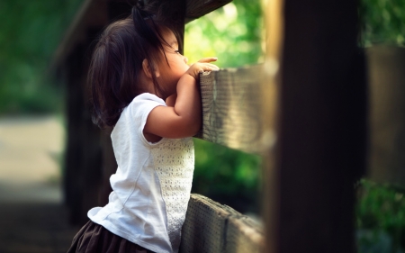 :-) - fence, girl, child, copil, cute, curious, little