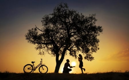 Moon gift - moon, love, silhouette, bike, gift, couple, girl, night, valentine, funny, man, luminos, luna, tree