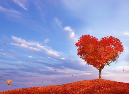 I love Autumn - red, creative, sky, fantasy, heart, leaf, tree, blue