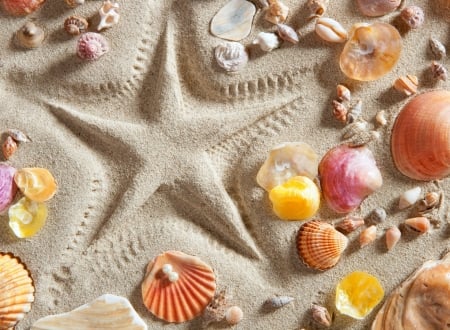 :-) - shell, starfish, summer, card, sand