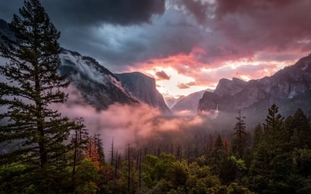 Misty Yosemite - forest, yosemite, cool, fun, sunset, nature, mountain