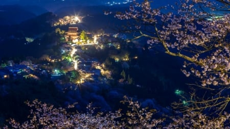 Spring View - japan, nature, cherry blossom, sakura, scenery, spring, night, japanese